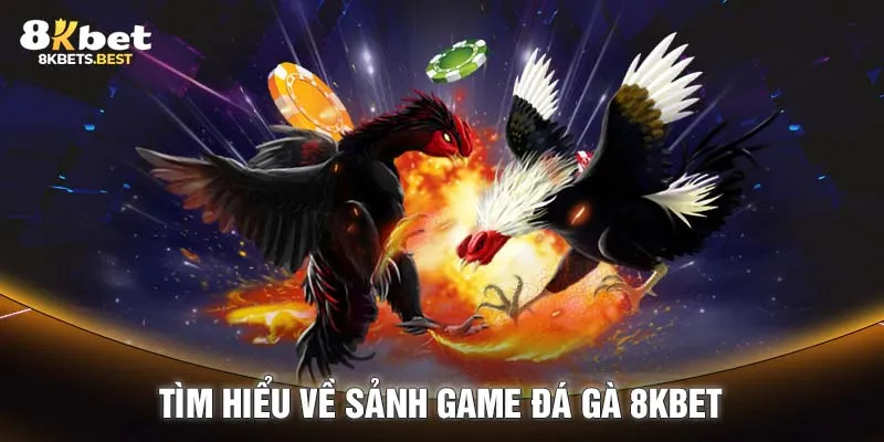 Tìm hiểu về sảnh game đá gà 8KBET 